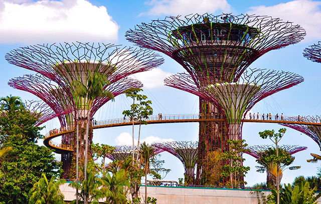 Singapore Gardens of the Bay