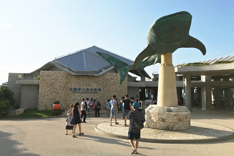 美麗海水族館是個非常受遊人歡迎的景點