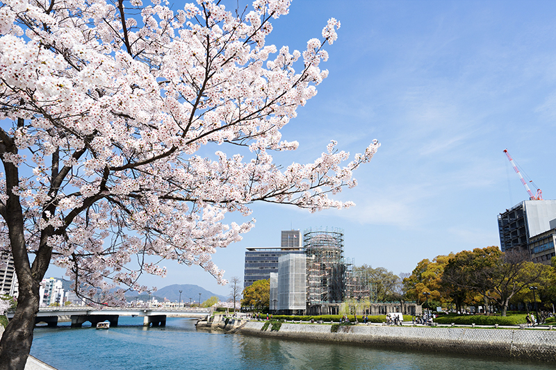 廣島平和紀念公園櫻花