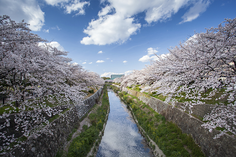 名古屋岩倉五条川