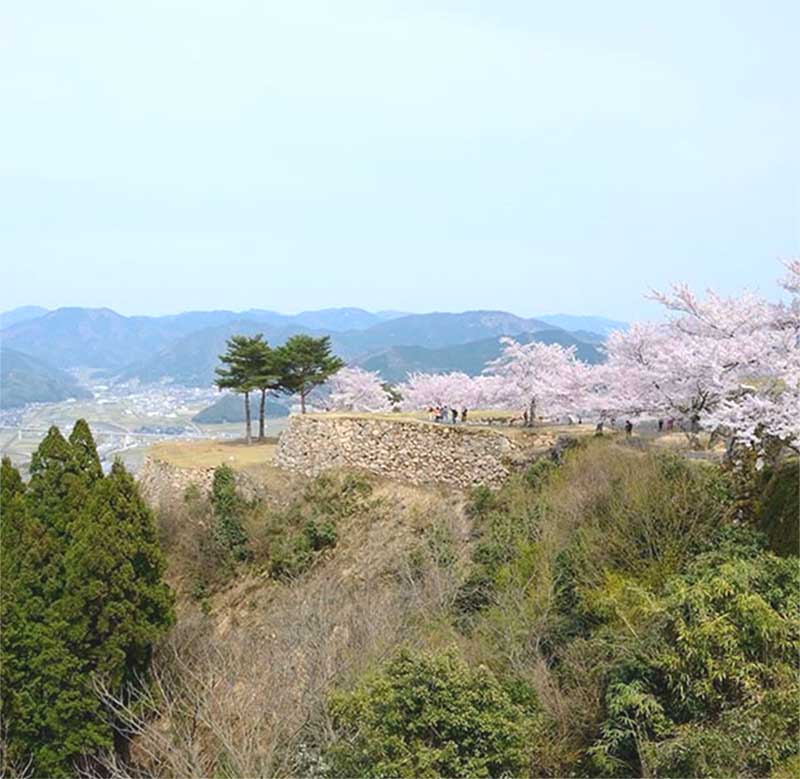 【日本秘境大公開】青池、高千穂峡、濃溝瀑布、龍泉洞、竹田城