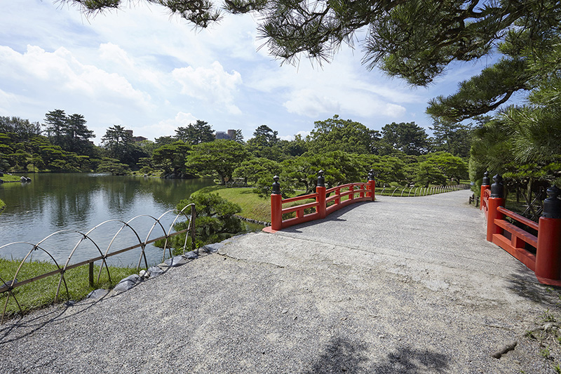 粟林公園楓葉