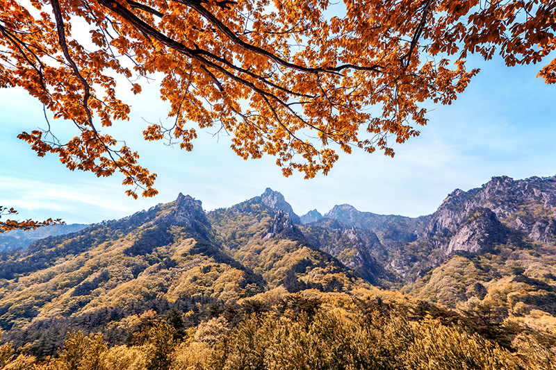 韓國雪嶽山