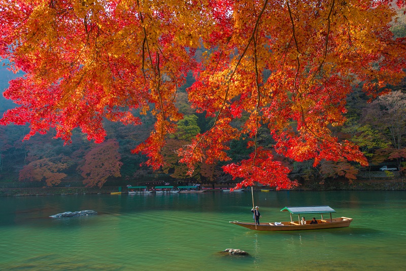 【秋季日本紅葉旅遊】八大日本賞楓名所精選 | KAYAK旅遊網誌 日本紅葉