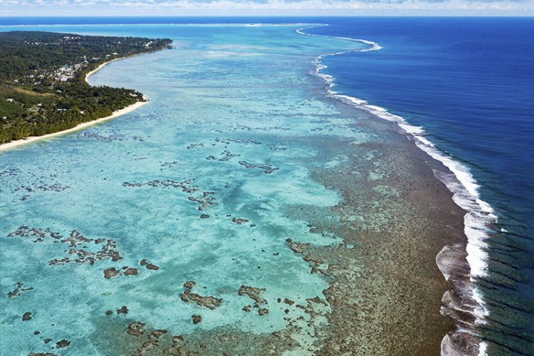 Eat your way through the Cook Islands