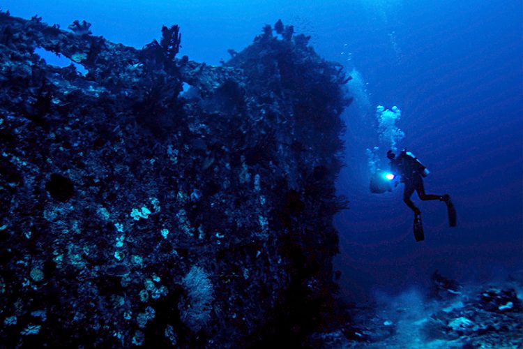 Snorkel through mind blowing coral and uncover underwater wrecks in Vanuatu