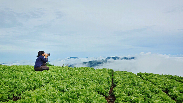 Find cheap tickets to these Vegan Travel destinations