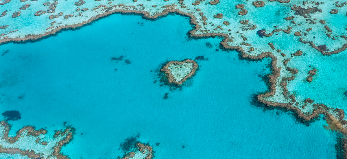 Heart-shaped reef formation