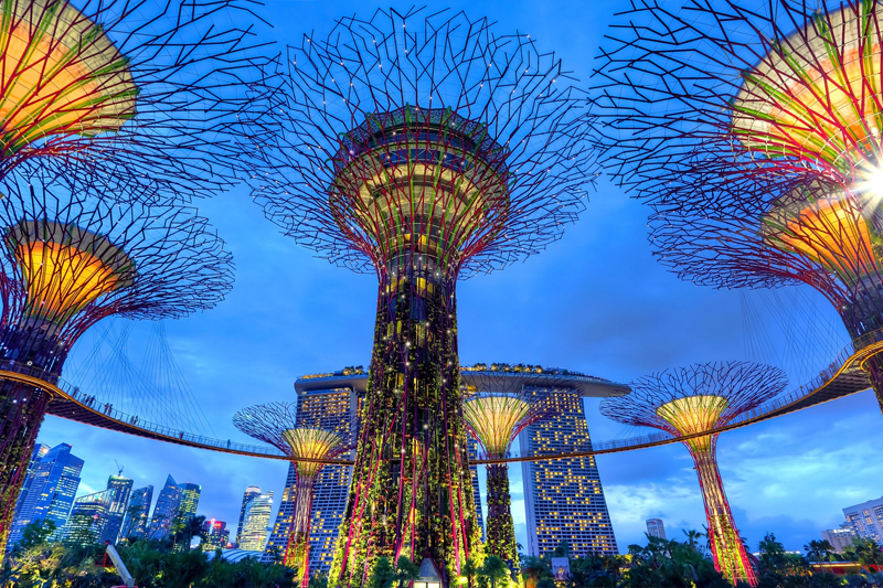 Futuristic Super Trees in Singapore