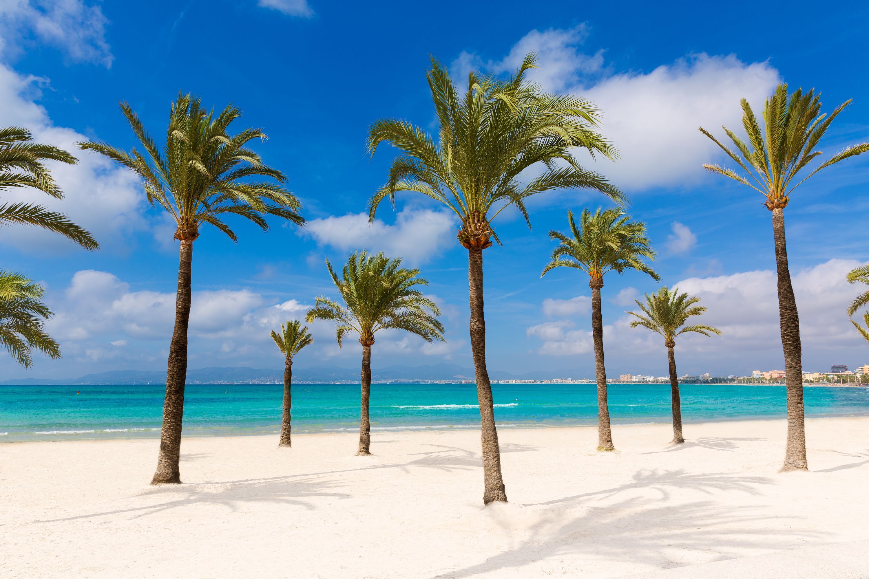 埃爾阿雷納爾酒店