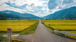 日本平機票 格價和預訂