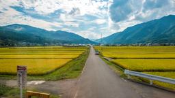 高山酒店