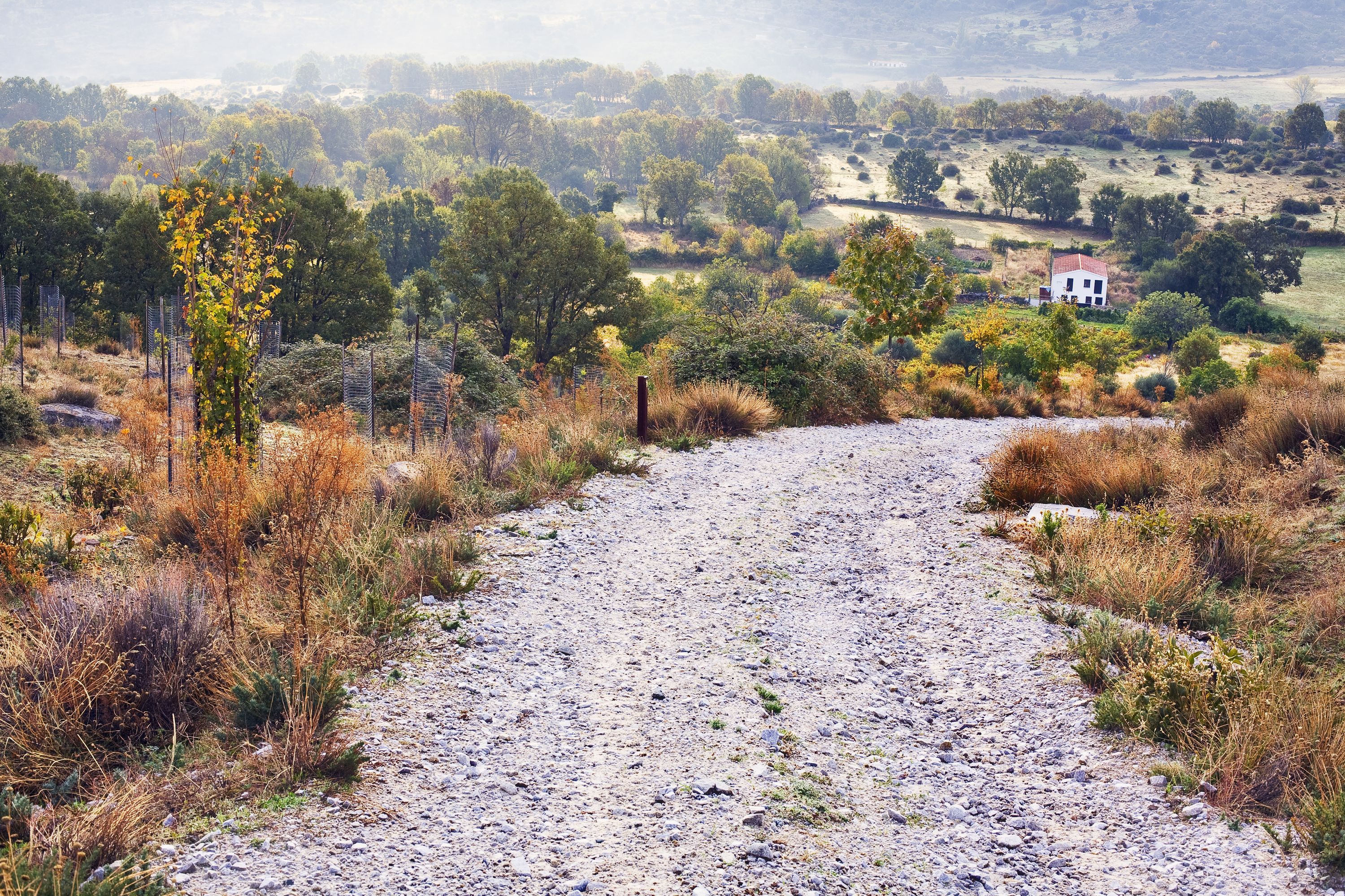 拉斯&middot;羅薩斯&middot;德&middot;馬德里租車