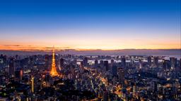 鄰近東京 成田國際機場的酒店