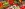 preload