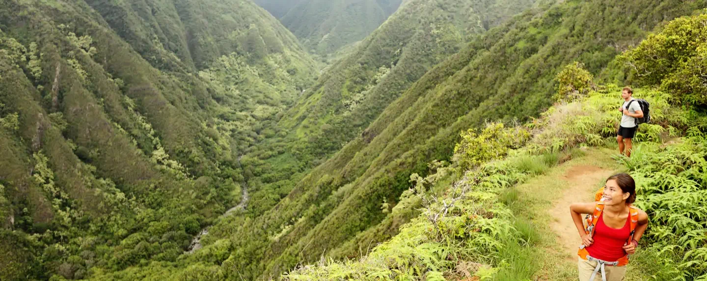Find the best cheap flights and hotels to Hawaii