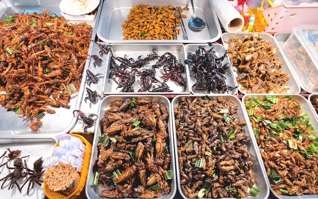 亞洲8大獵奇美食，挑戰你的膽量！
