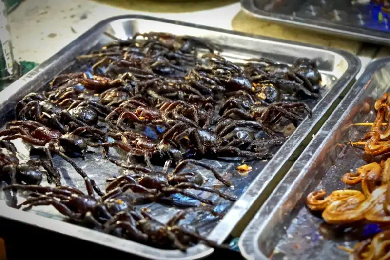 亞洲8大獵奇美食,挑戰你的膽量!