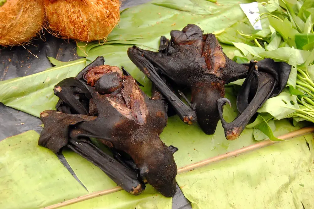亞洲8大獵奇美食,挑戰你的膽量!