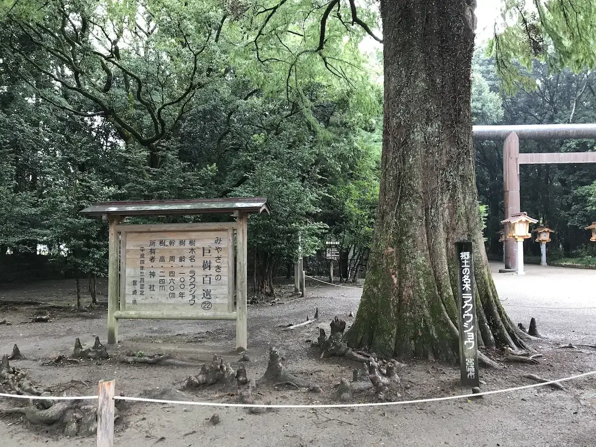 宮崎、日南自由行