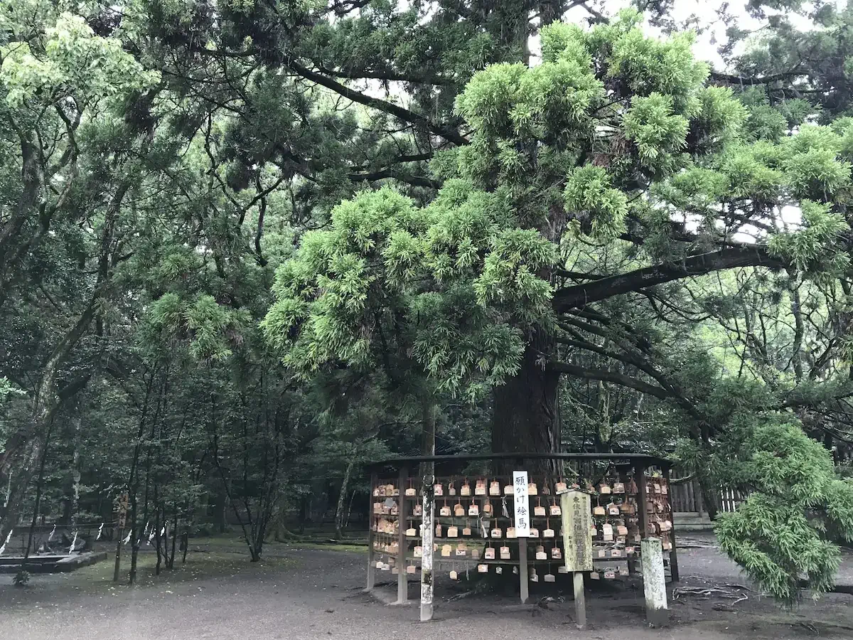 宮崎、日南自由行