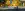 preload