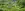 preload