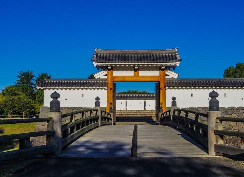 其他 相片