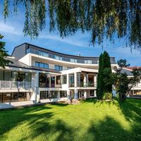 Stein Collection Hotel