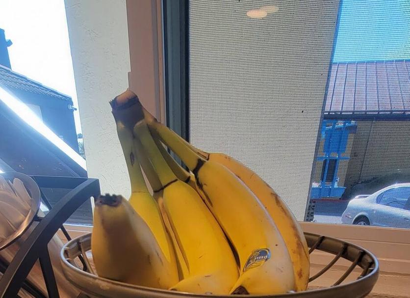 其他 相片