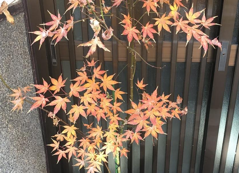 客房設備 相片