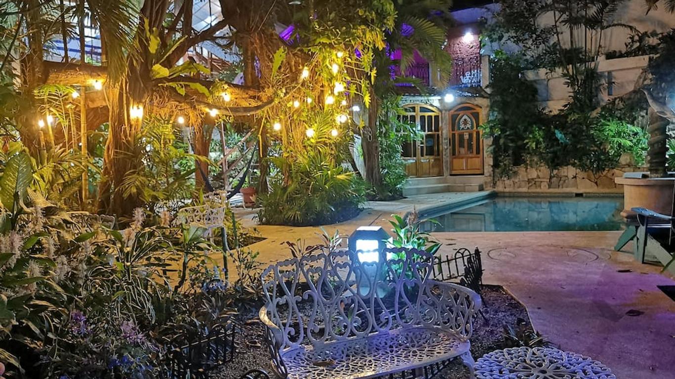 加勒比國王生態酒店 - 坎昆