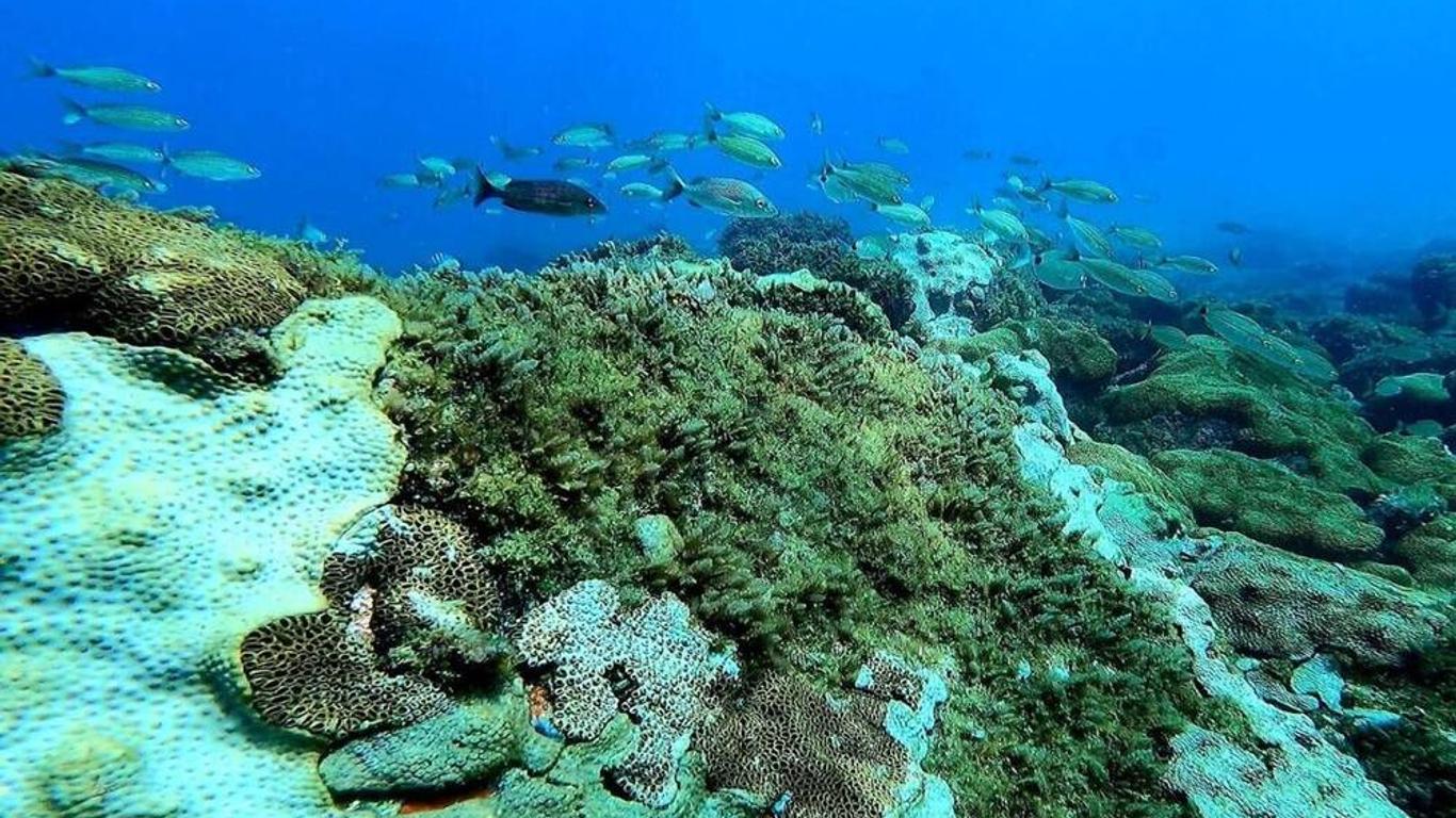 水大師潛水國營旅館