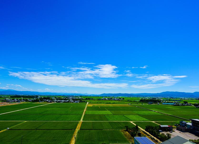室外景 相片