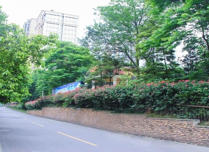 室外景 相片