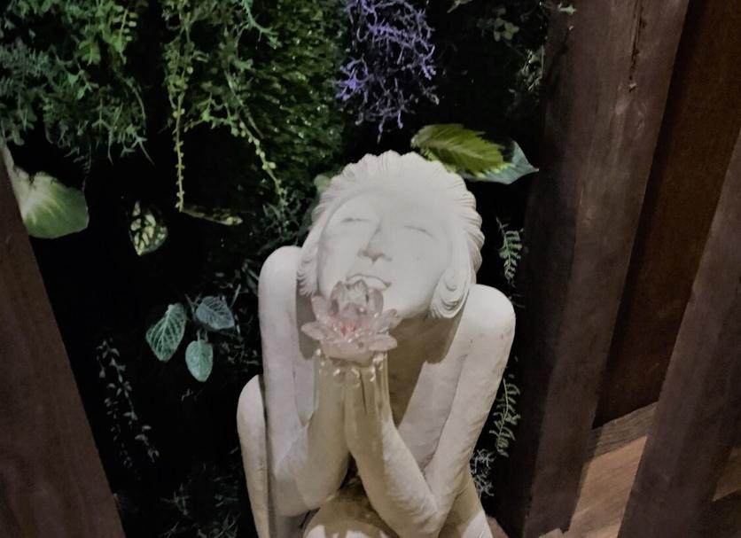 其他 相片
