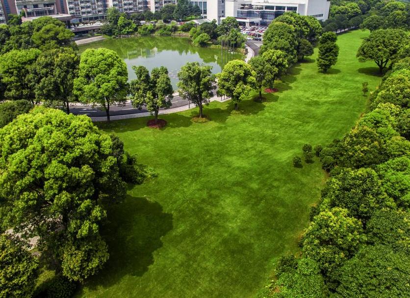 室外景 相片