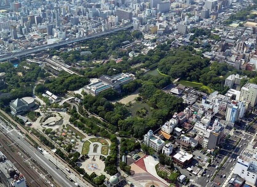 室外景 相片