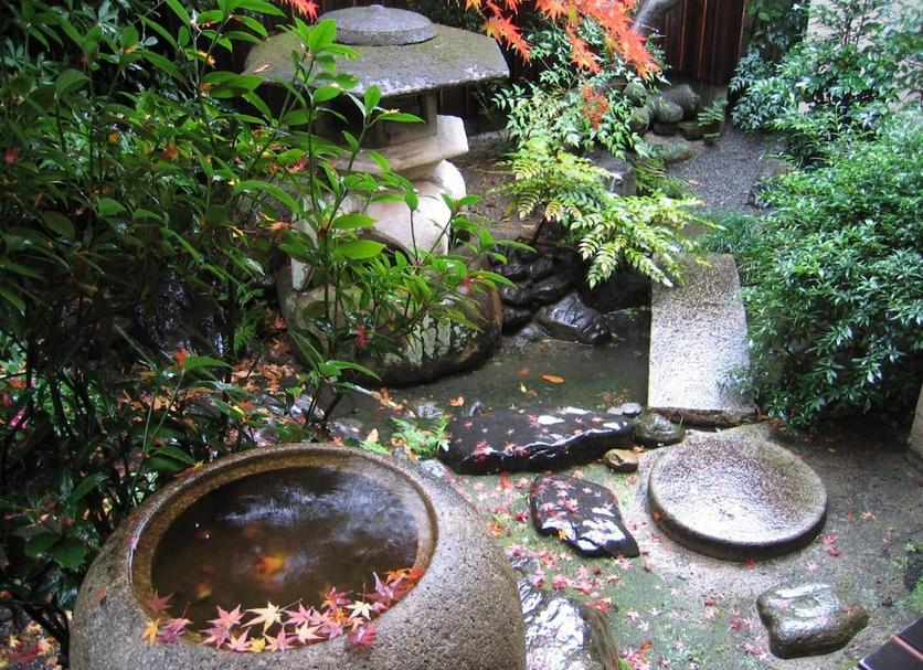 室外景 相片
