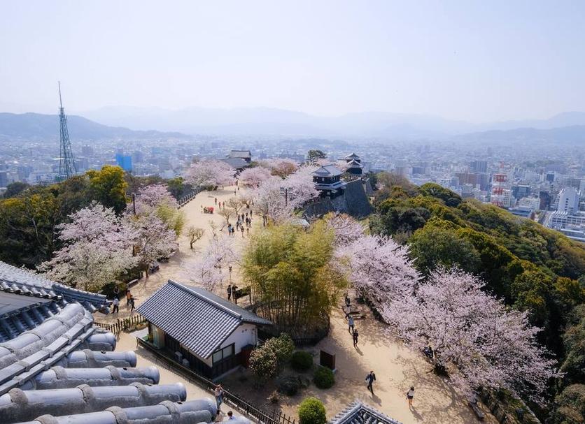 室外景 相片