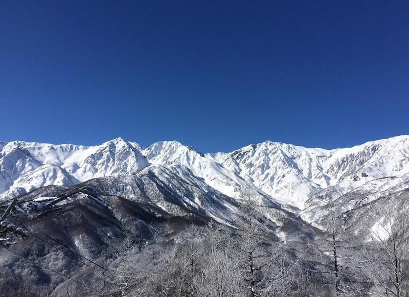 室外景 相片
