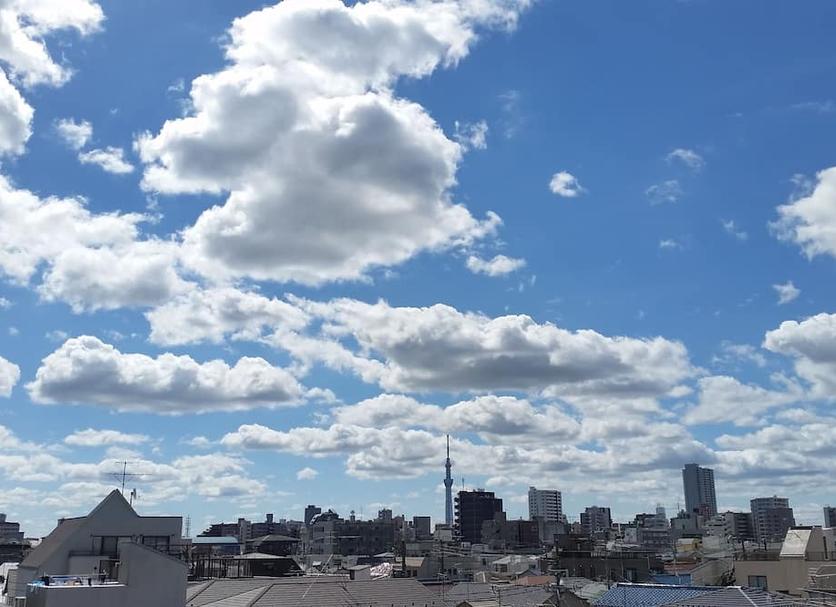 室外景 相片