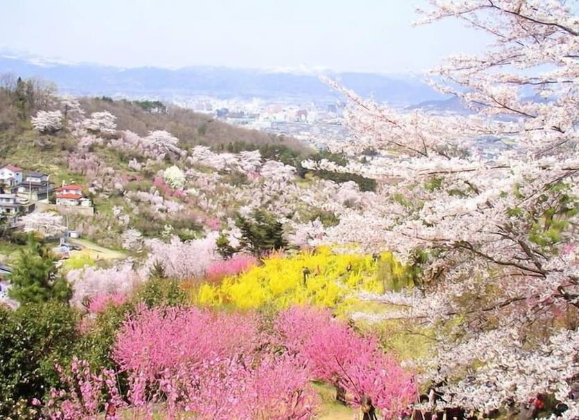 室外景 相片