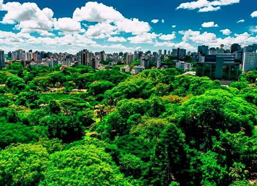 室外景 相片