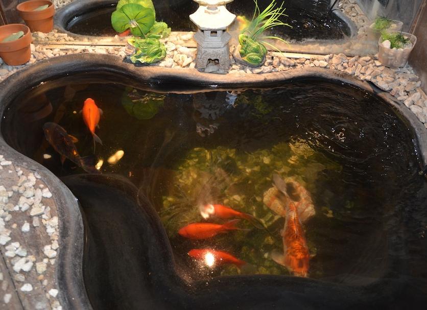 其他 相片