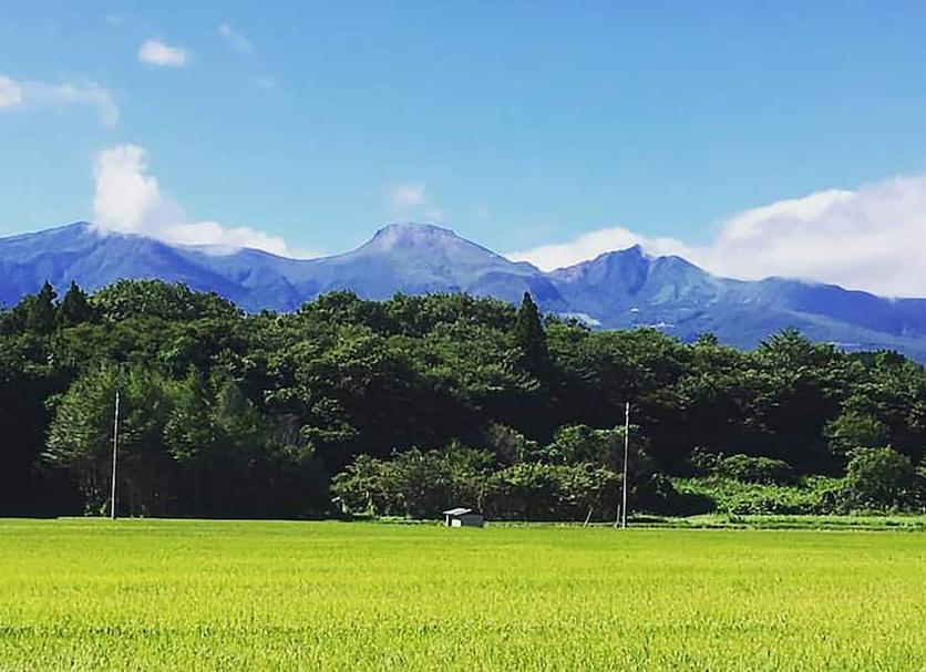 室外景 相片