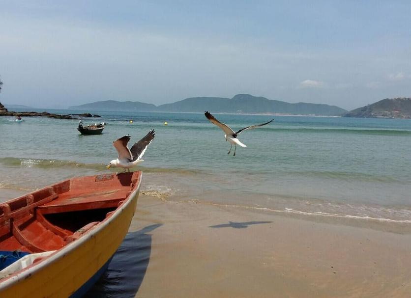 海灘 相片