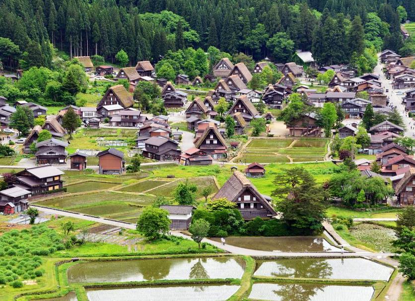 室外景 相片