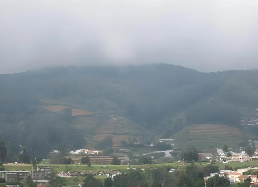 室外景 相片