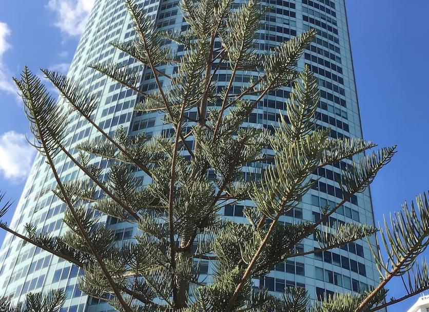 建築 相片